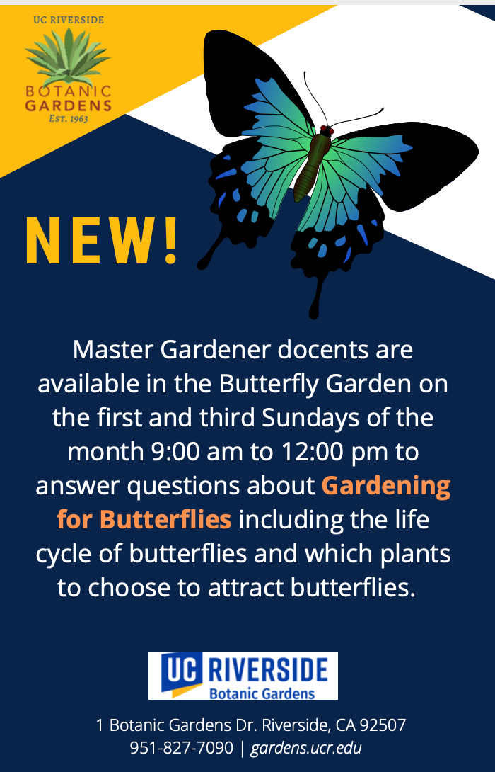 Butterfly Garden Docents