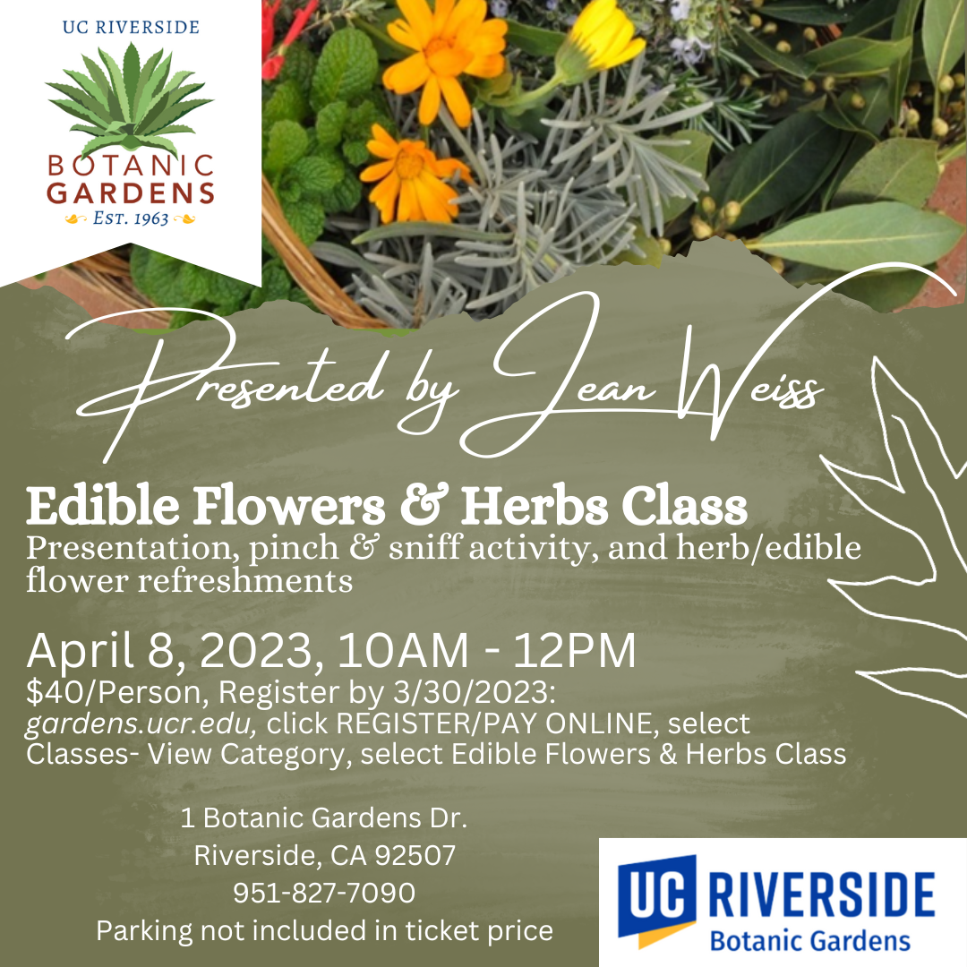 Edible Flowers & Herbs