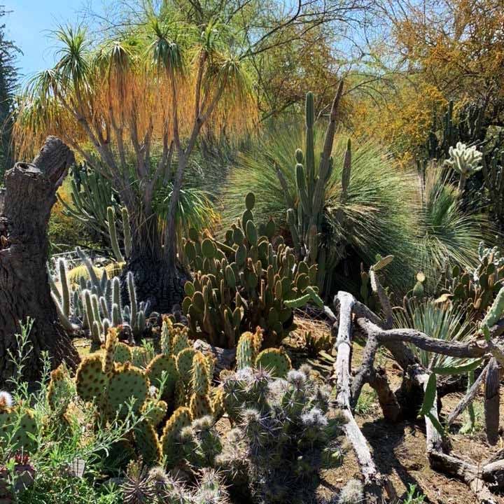 Botanic Gardens slideshow