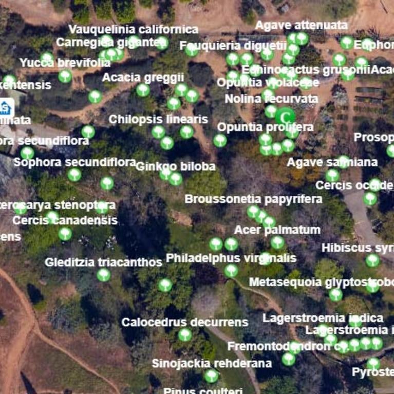 GIS Map UC Riverside Botanic Gardens 