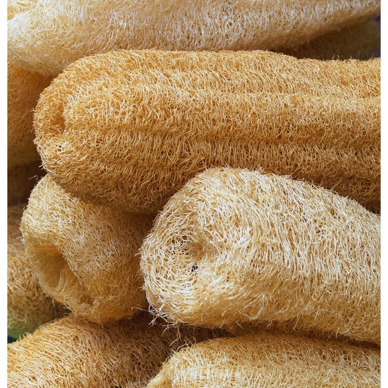 Loofah