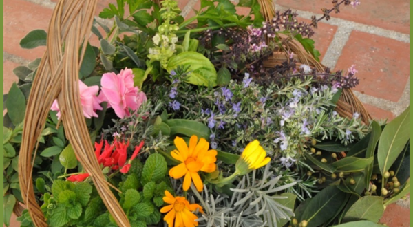 Edible Flowers & herbs class