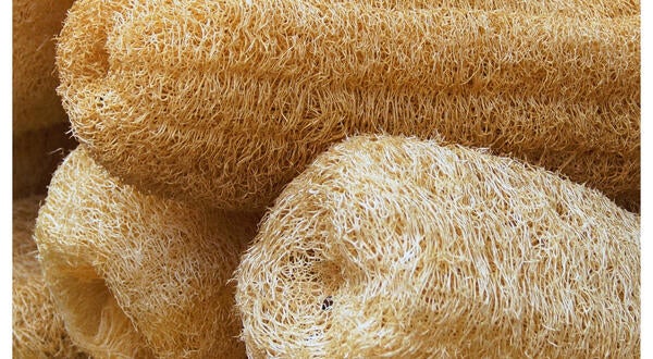 Loofah