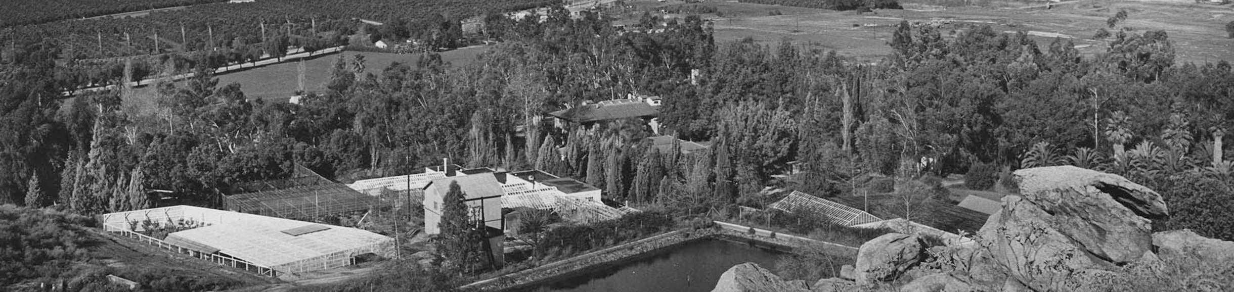 UC Riverside historic image