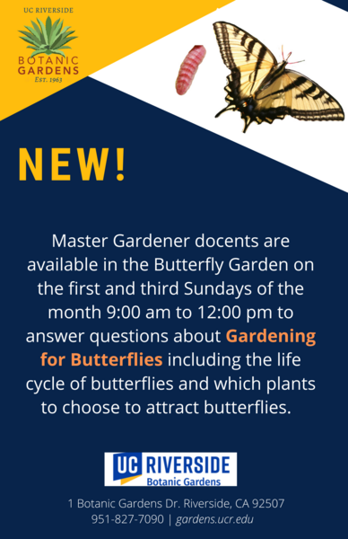 Butterfly Garden Docents