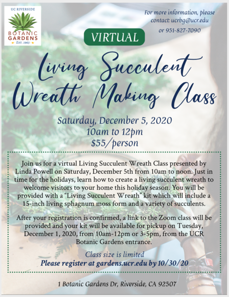 Flier_Virtual_Living_Succulent_Class