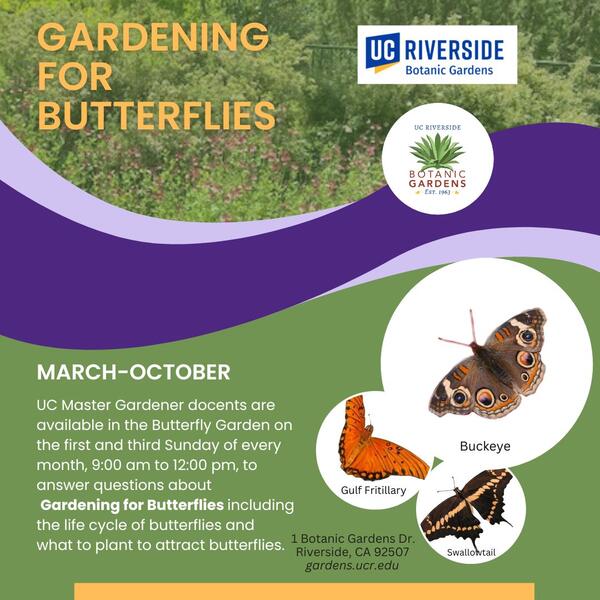 Gardening for Butterflies