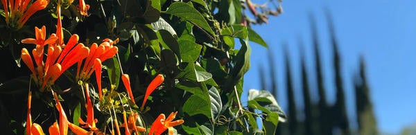 UCR Botanic Gardens