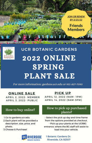 Online Spring Plant Sale, April 2  & 3, 2022