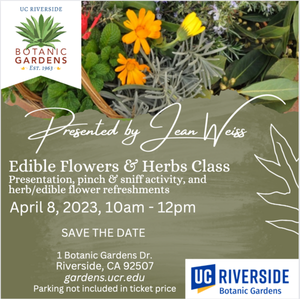 Edible Flowers & Herbs