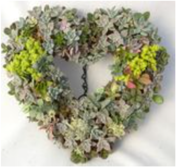 Succulent Wreath 