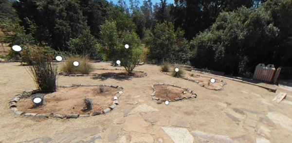 Native American Garden