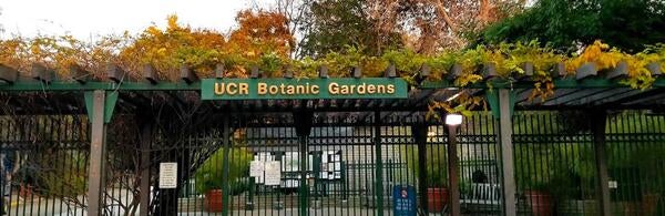 UCR Botanic Gardens entrance