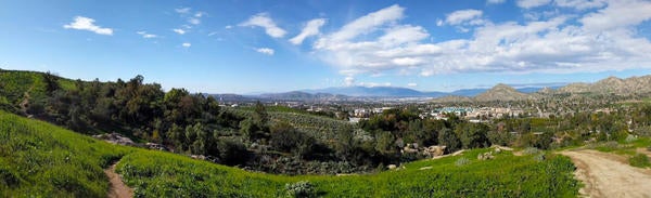 UCR Botanic Gardens view