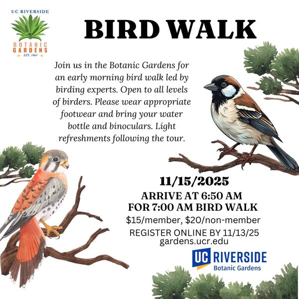 Bird Walk
