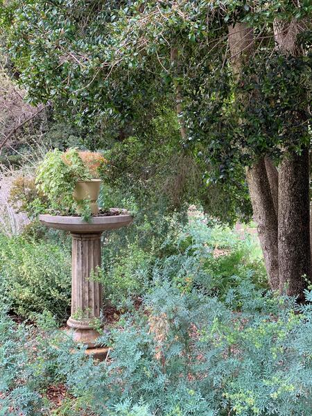 Herb Garden