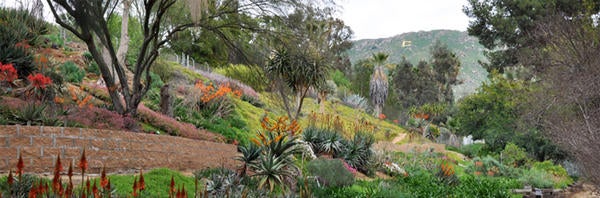 UCR Botanic Gardens