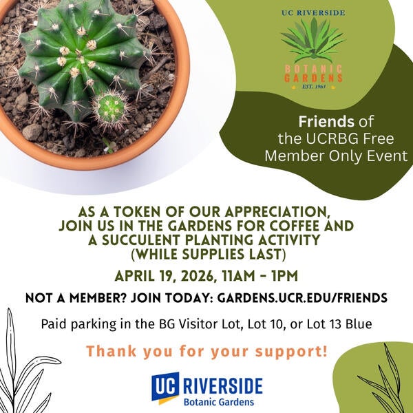 Member Succulent Planting Activity