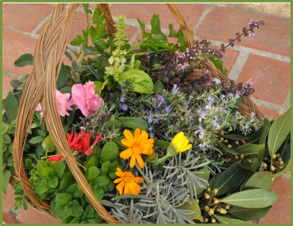 Edible Flowers & herbs class