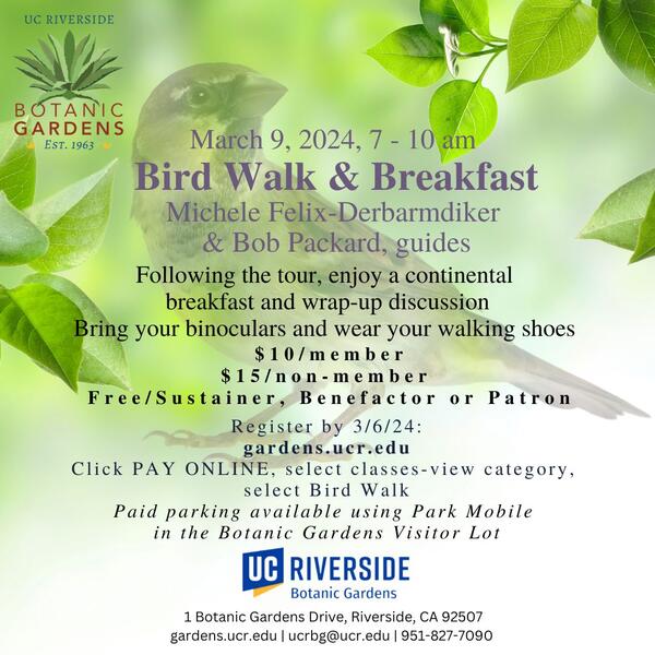 Bird Walk