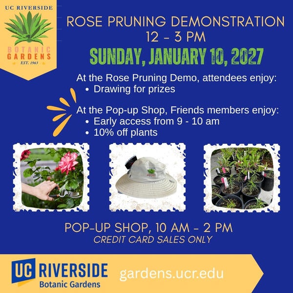 RPD
