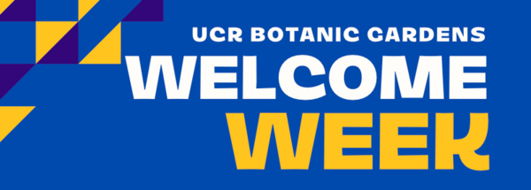 Welcome Week
