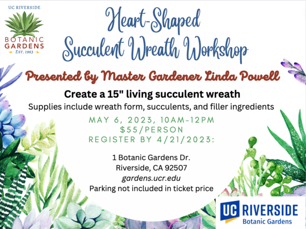 Heart-Shaped Succulent Wreath Workshop