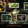 Art in the Gardens