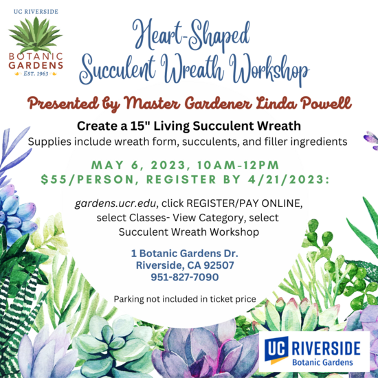 Succulent Wreath Workshop
