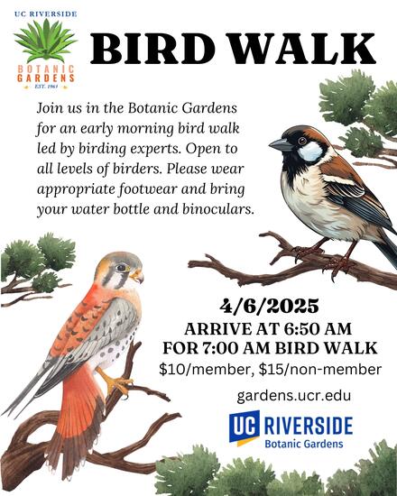 Bird Walk