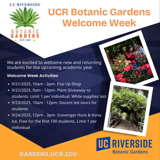 Welcome Week