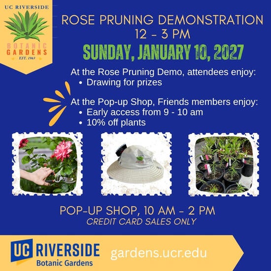 RPD