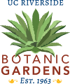 2019_logo_mini 2019_logo_mini