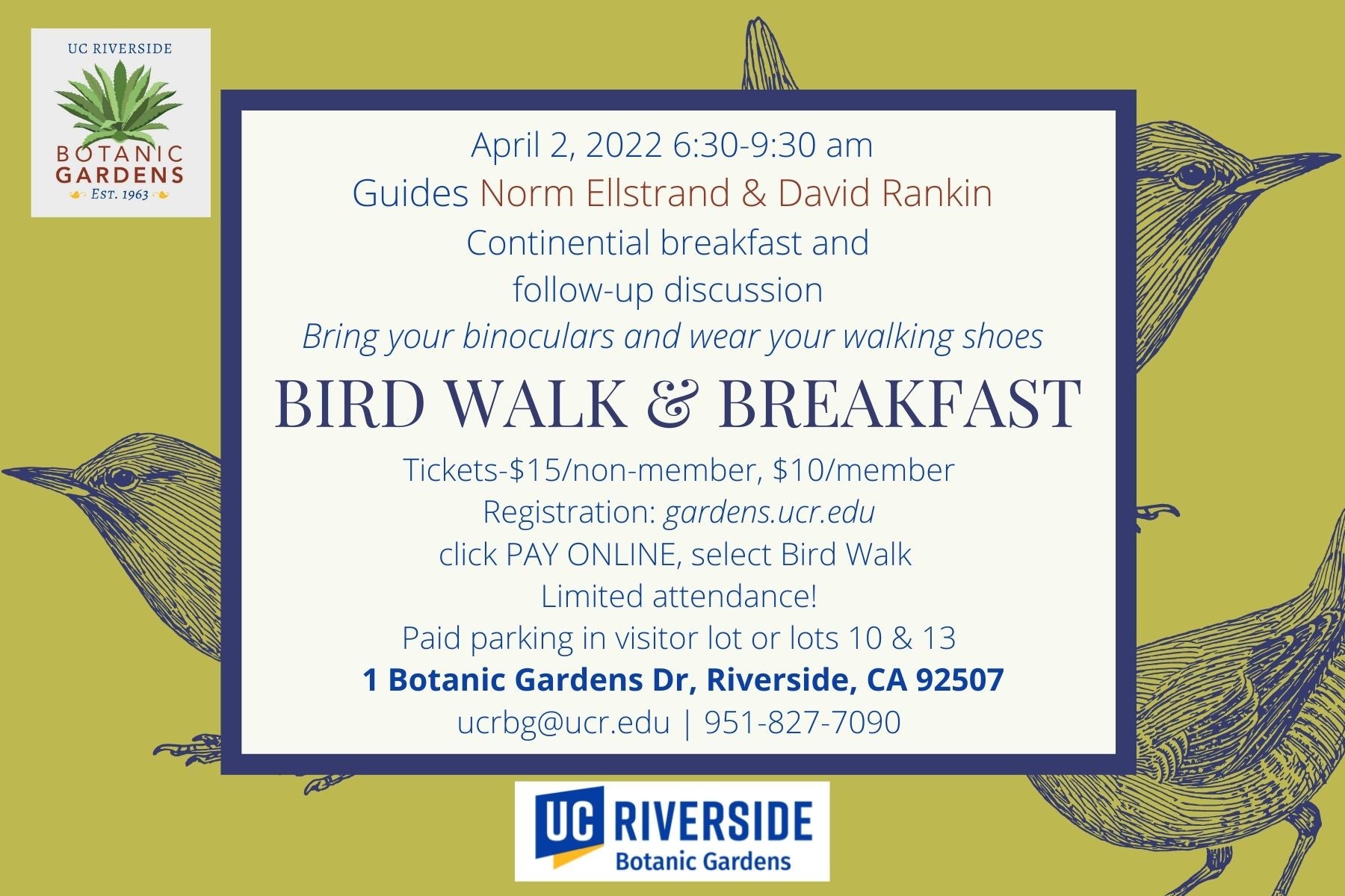Bird Walk & Breakfast