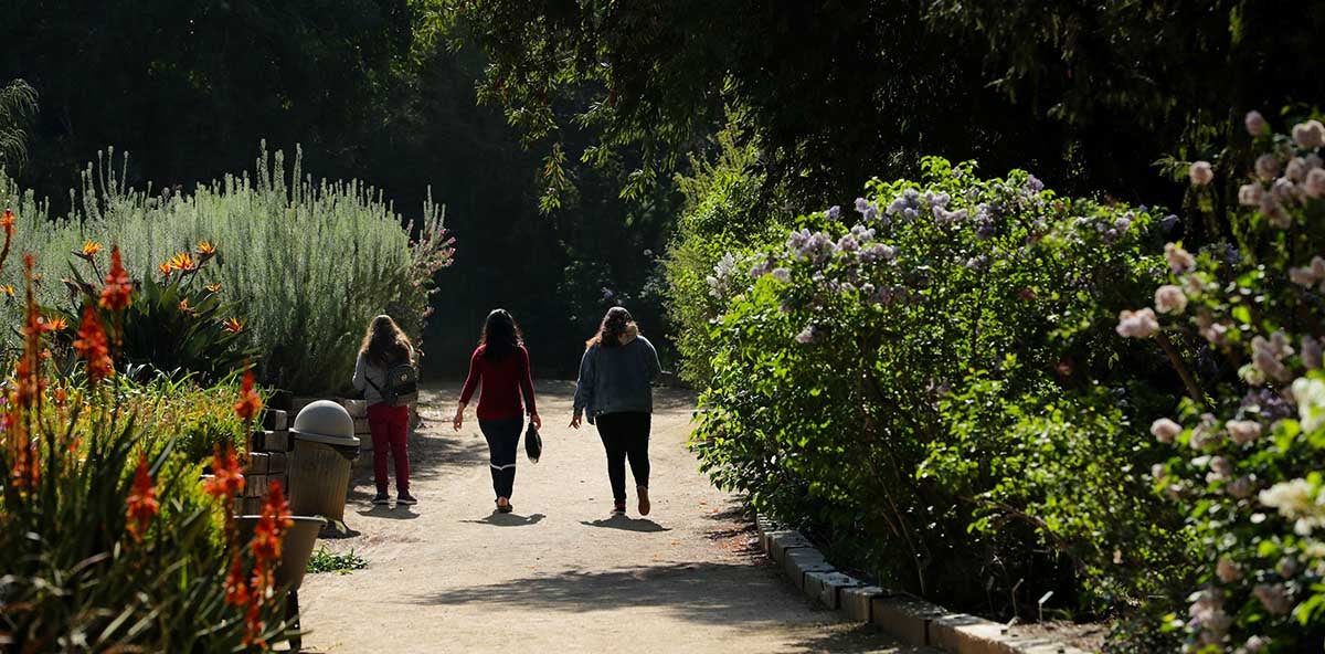 Students touring the Botanic Gardens